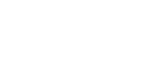 VvV Logo White